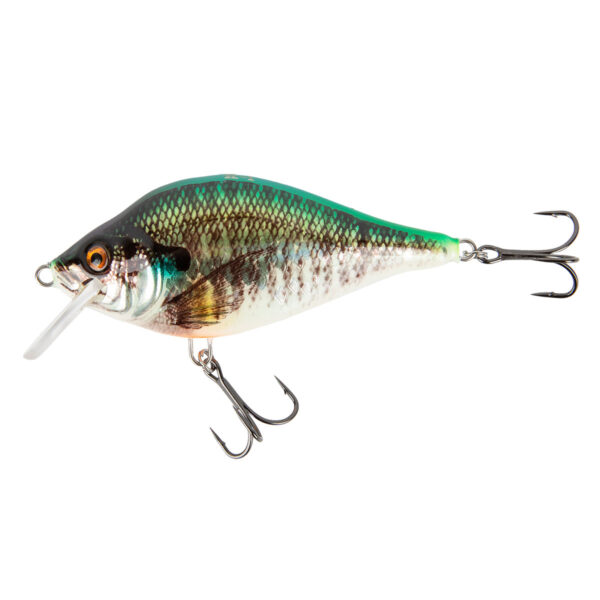 Hybrida Wobbler Typ: "K 1-Crankbait" - schwimmend im Pareyshop