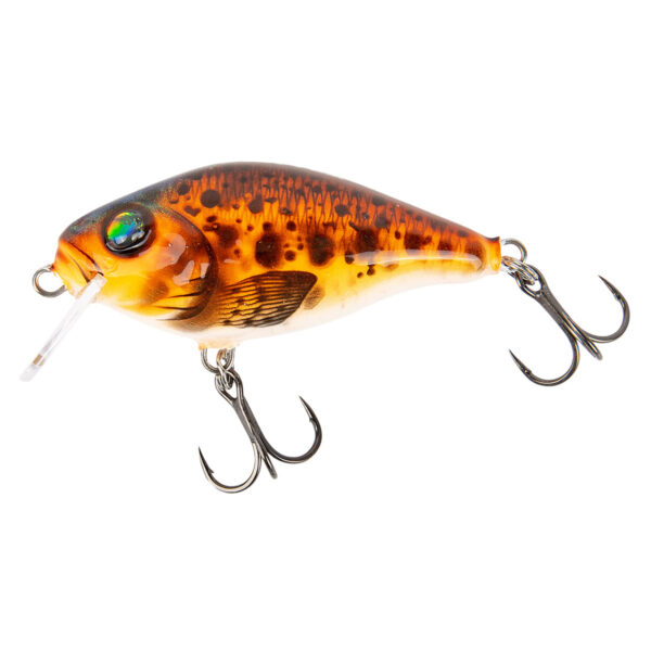 Hybrida Wobbler Typ "C4BT" Shallow Crank Fisch & Fang Sonderfarbe: CRAW im Pareyshop