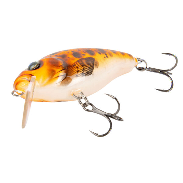 Hybrida Wobbler Typ "C4BT" Shallow Crank Fisch & Fang Sonderfarbe: CRAW im Pareyshop