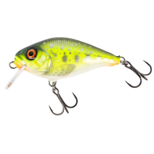 Hybrida Wobbler Typ C4BT Shallow Crank Fisch & Fang Sonderfarbe: FROG im Pareyshop