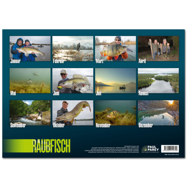 RAUBFISCH Edition: Kalender 2025 im Pareyshop