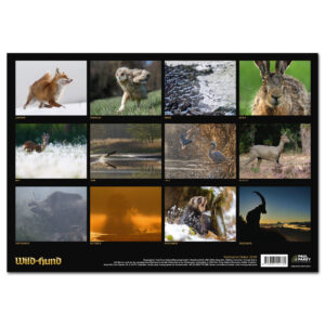 WILD UND HUND Edition: Faszination Natur Kalender 2025 im Pareyshop