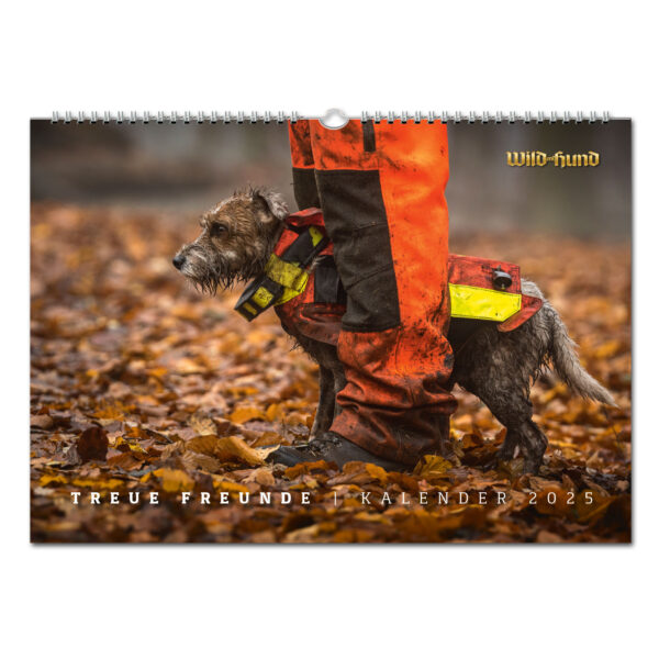 WILD UND HUND Edition: Treue Freunde Kalender 2025 im Pareyshop