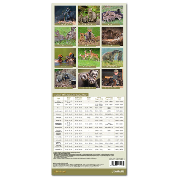 WILD UND HUND Edition: Familienplaner Kalender 2025 im Pareyshop