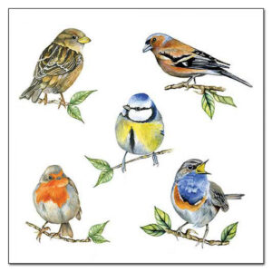 Ambiente Servietten Bird species white im Pareyshop