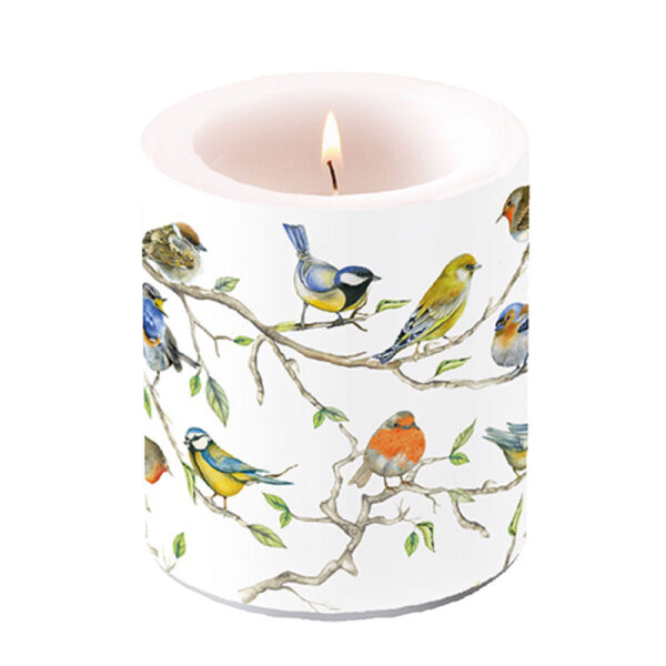 Ambiente Kerze Birds Meeting im Pareyshop